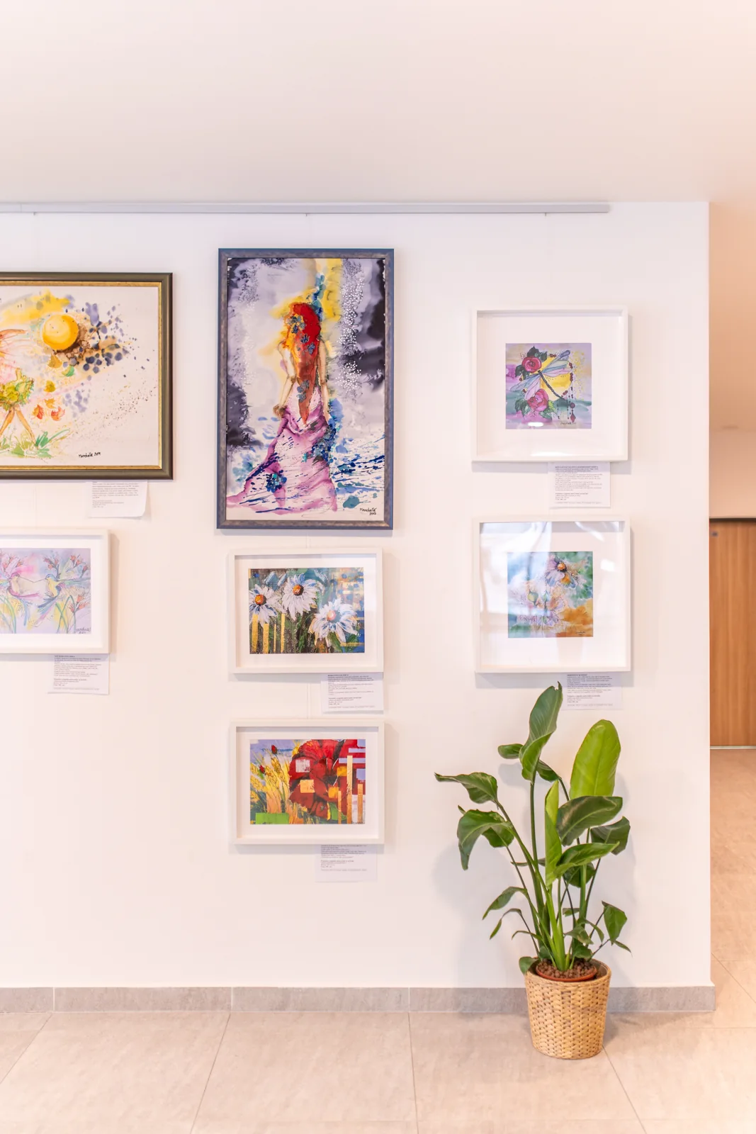 Prostredie kliniky MediKlinik